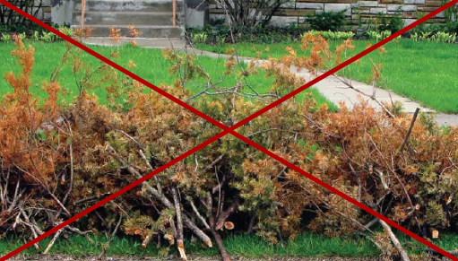 No Yard Debris